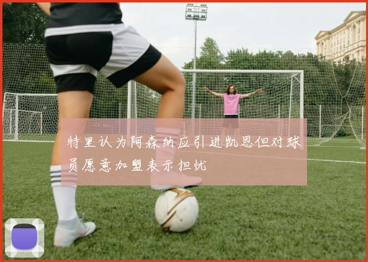 特里认为阿森纳应引进凯恩但对球员愿意加盟表示担忧